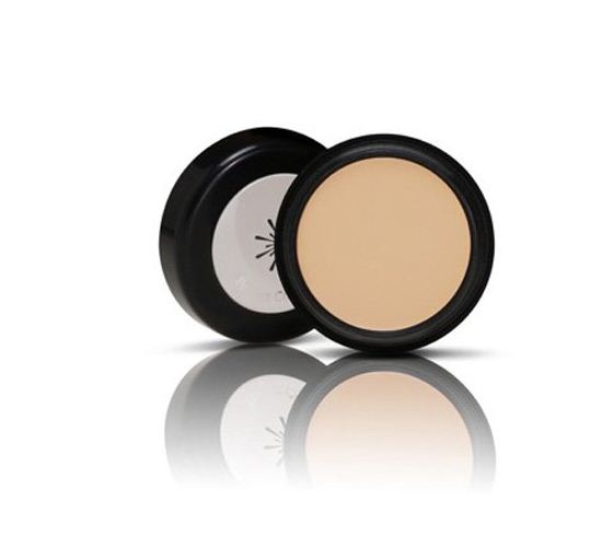[Missha] The style perfect concealer_light beige